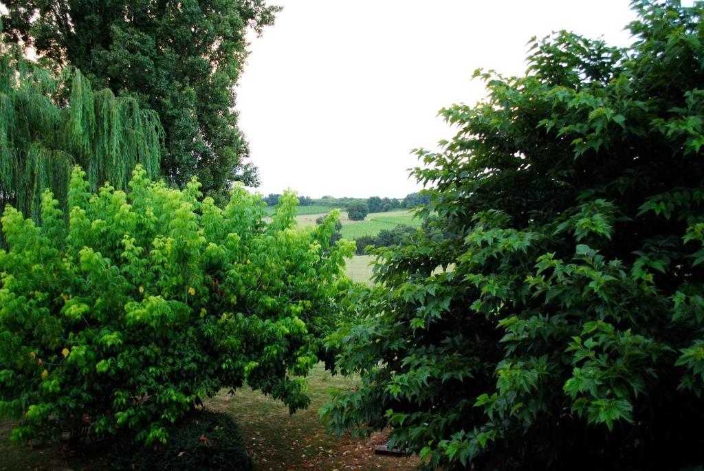 מלון Saint-Quentin-de-Caplong Les Foucauds חדר תמונה
